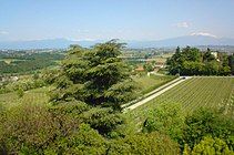 The rural area of Custoza