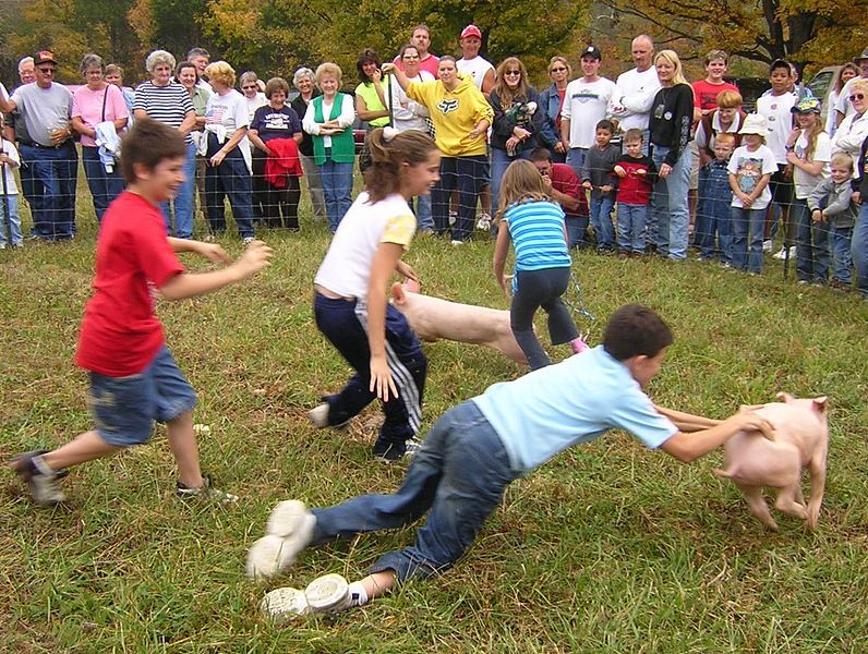 File:Greased pig contest.jpg