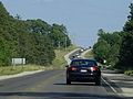 Highway 6 looking south near Wiarton.