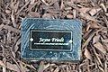 Plaque honoring Jayne Friedt