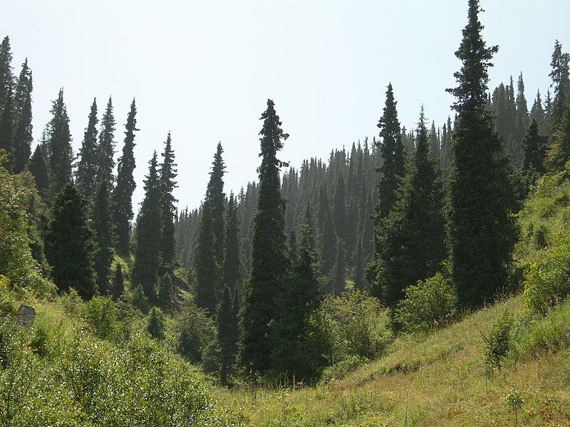 File:Karakol Gorge.JPG