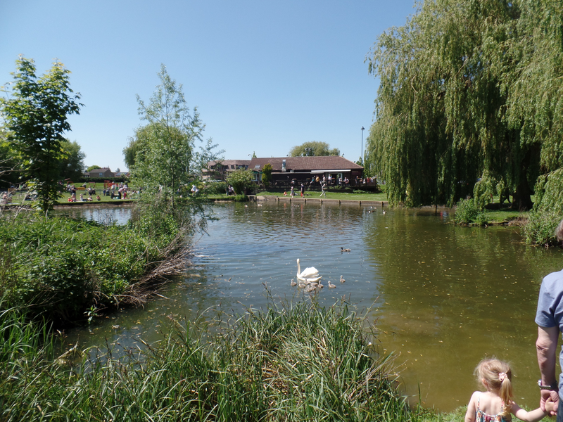 File:Neots pond.png