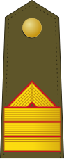 File:Spain-Army-OR-7.svg