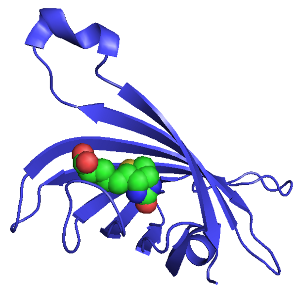 File:Streptavidin.png