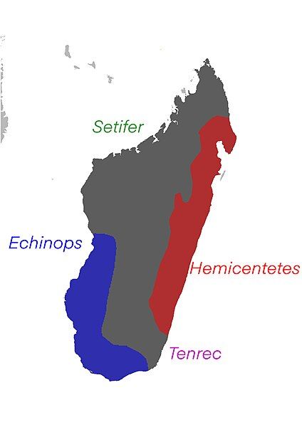 File:Tenrecinae range.jpg