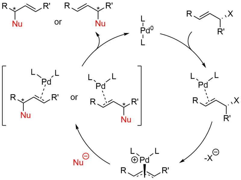 File:Tsuji-Trost catalytic cycle.png