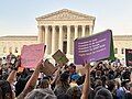 Image 40Protesters in front of the U.S. Supreme Court Building (from Washington, D.C.)