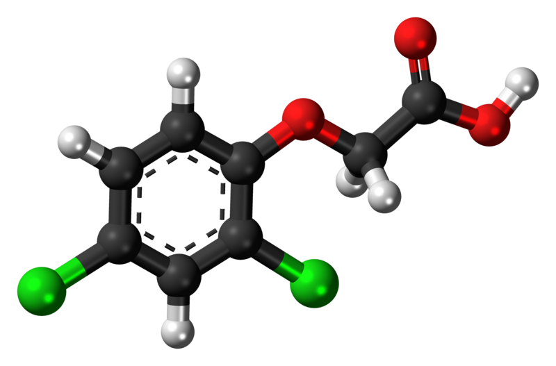 File:2,4-Dichlorophenoxyacetic-acid-3D-balls-2.png