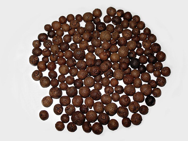 File:Allspice.JPG