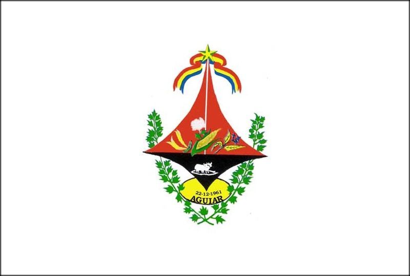 File:Bandeira Aguiar.jpg