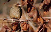 In Sacramento, California