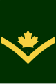 Early post unification Private (qualification level 4a) insignia with maple leaf.