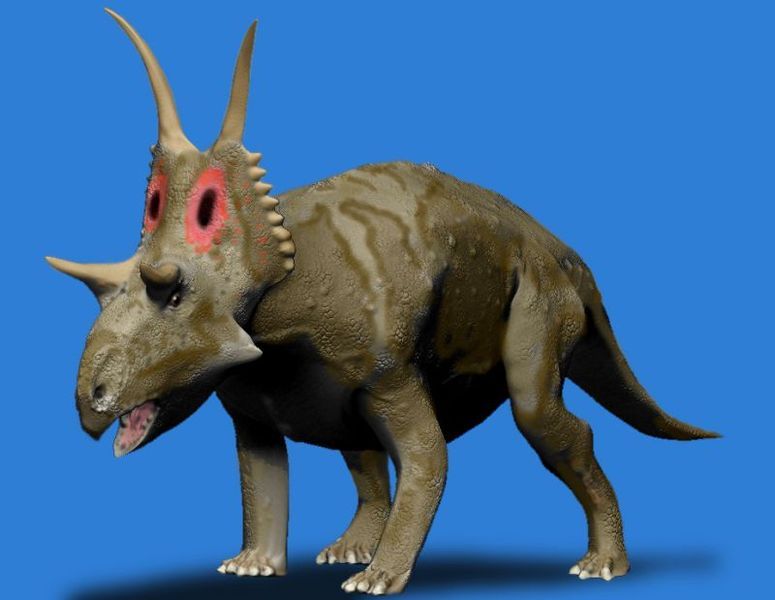 File:Diabloceratops BW.jpg