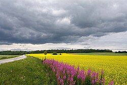 View towards Emumäe