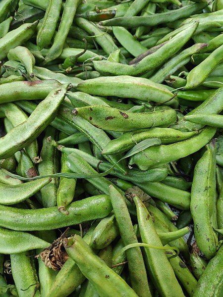 File:Green Beans 1.jpg