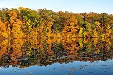 A photograph of Huron River, with trees lining the banks of the river.