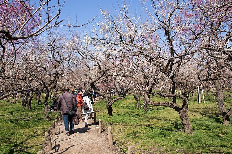 File:Kairaku-en, Ibaraki 03.jpg