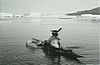 Greenlandic polar bear hunter in kayak