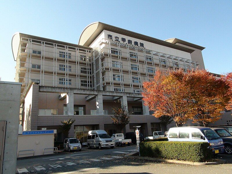 File:Kofu municipal hospital.JPG