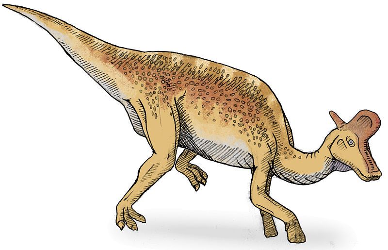 File:Lambeosaurus2-v2.jpg