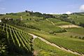 Image 41Vineyard Landscape of Piedmont: Langhe-Roero and Monferrato (from Culture of Italy)