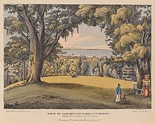 "View of the botanic garden in St Vincent", from "An account of the botanic garden in the island of St Vincent, from its first establishment to the present time" by Lansdown Guilding. Glasgow: Richard Griffin & Company, 1825