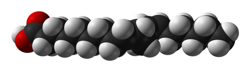 File:Linoleic-acid-from-xtal-1979-3D-vdW.png