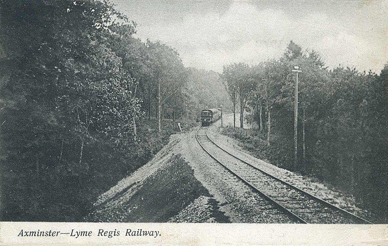 File:Lyme regis branch.jpg