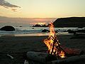 Oregon coast bonfire