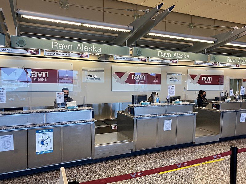 File:Ravn Counter.jpg