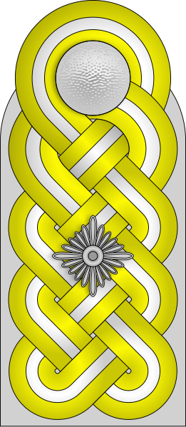 File:SS-Gruppenführer.svg