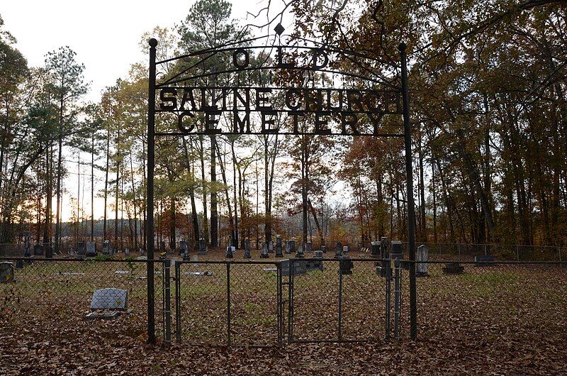 File:Saline Cemetery.jpg