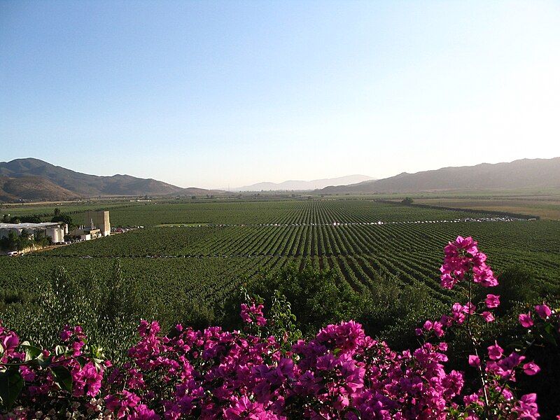 File:Valle de Guadalupe.jpg