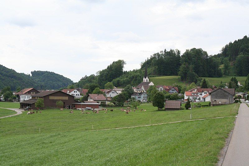 File:Bichelsee Dorf.jpg