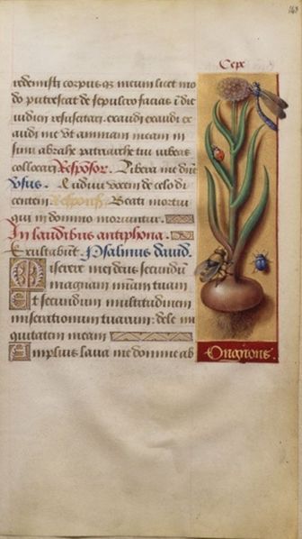 File:BnF Anne f143.jpg