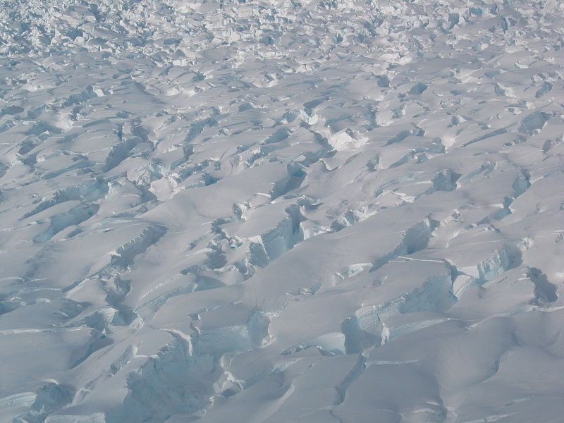 File:David glacier crevasses.jpg