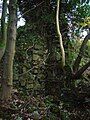 Ruins of the mill building