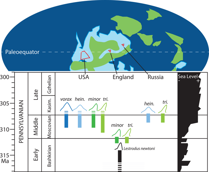 File:Edestus range.png