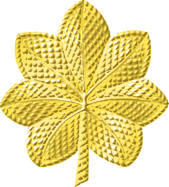 File:Maj leaf 003.svg