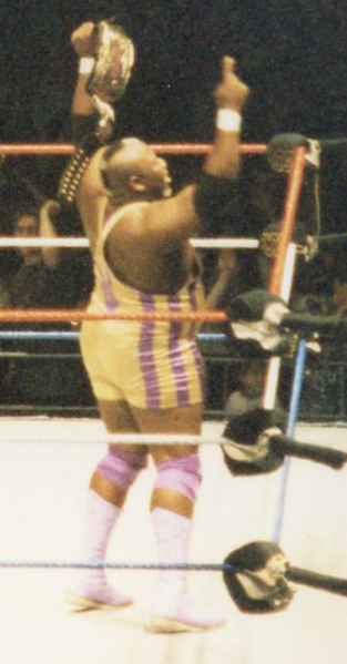 File:MoWrestler1994.png