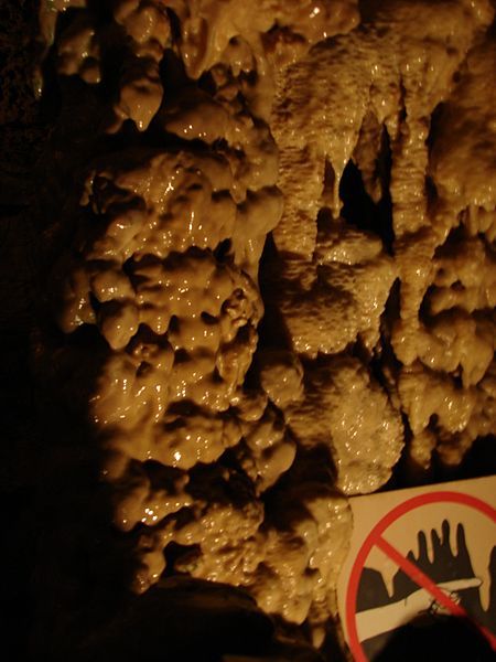 File:NaturalBridgeCaverns10.jpg