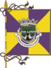 Flag of Reguengos de Monsaraz