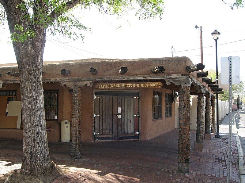 File:Rattlesnake Museum Albuquerque.jpg