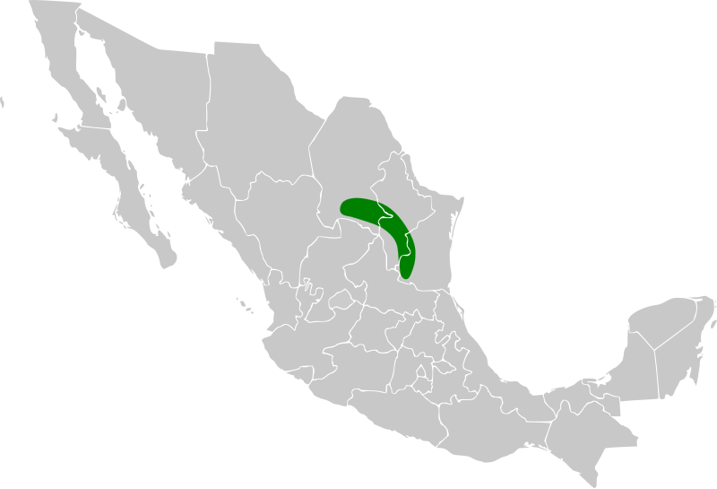 File:Rhynchopsitta terrisi map.svg