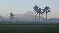 The silhouette of Mount Sumbing from Bondowoso, Temanggung