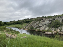 The Treur River and lush vegetation on its banks