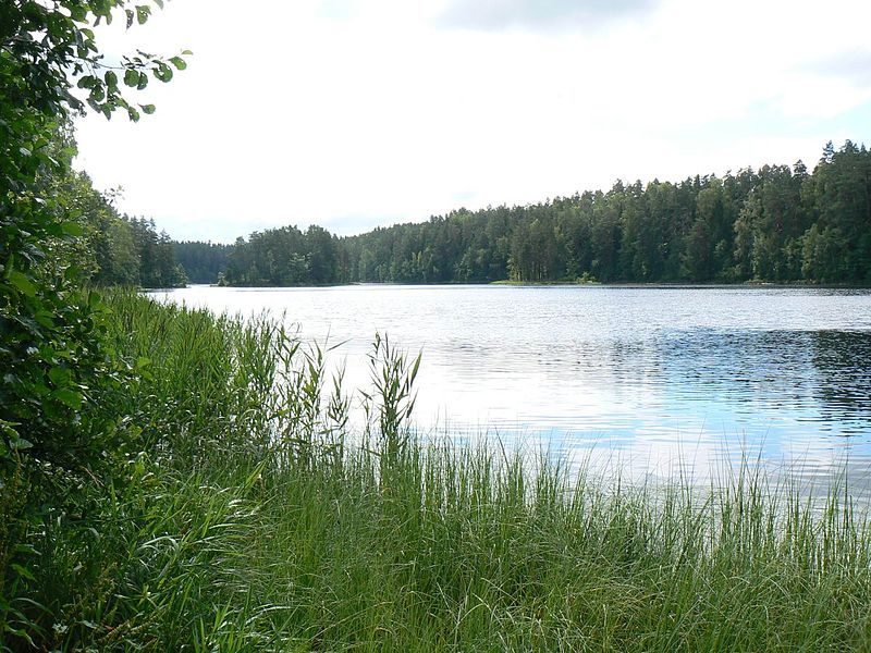 File:Viitna pikkjärv.jpg