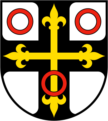 File:Wappen Neckarsulm.svg