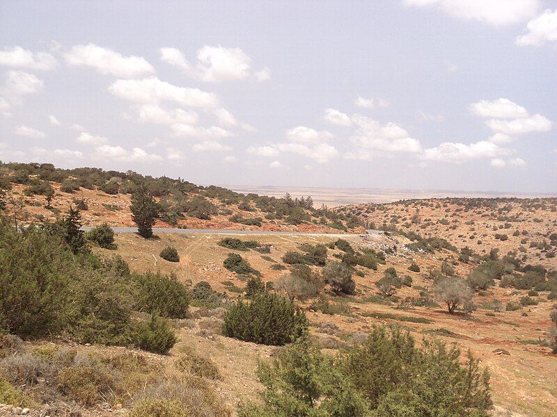 File:Al Marj escarpment6.JPG