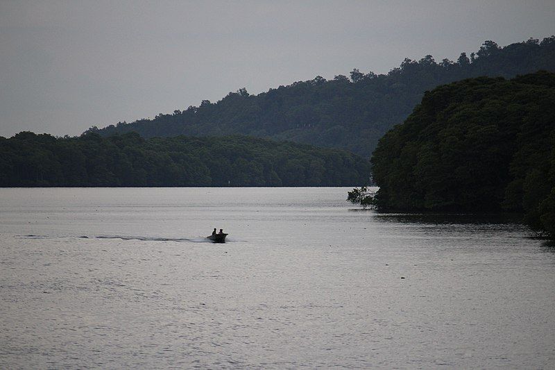 File:Brunei River (19042022).jpg